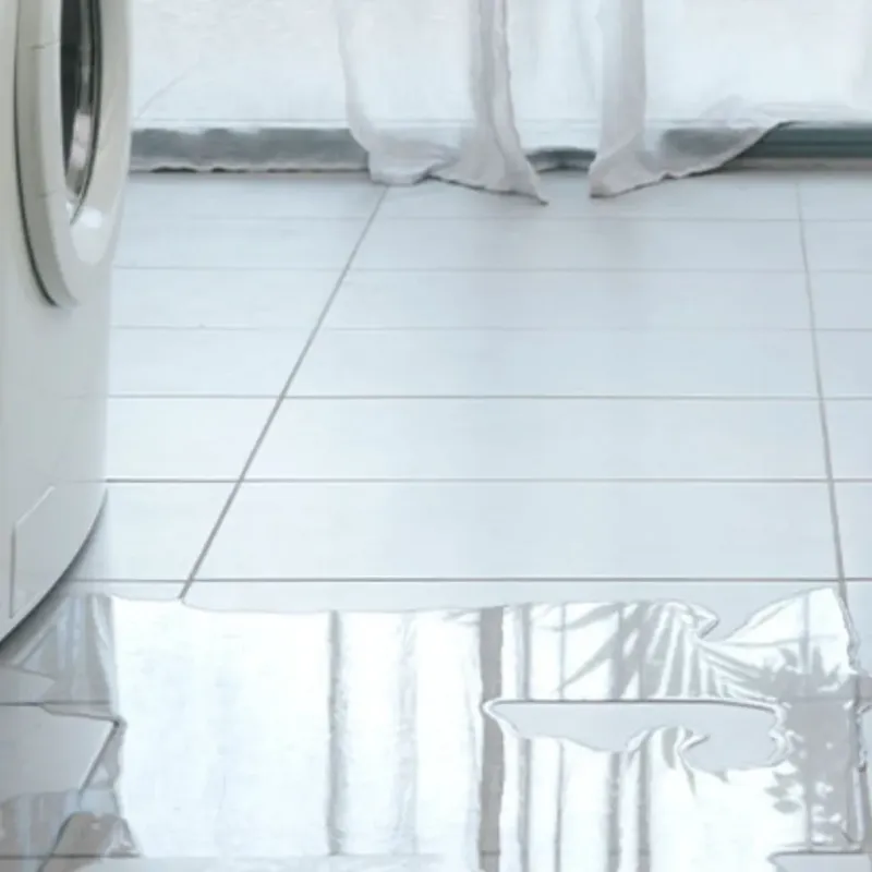 Appliance Leak Cleanup in Oak Brook, IL
