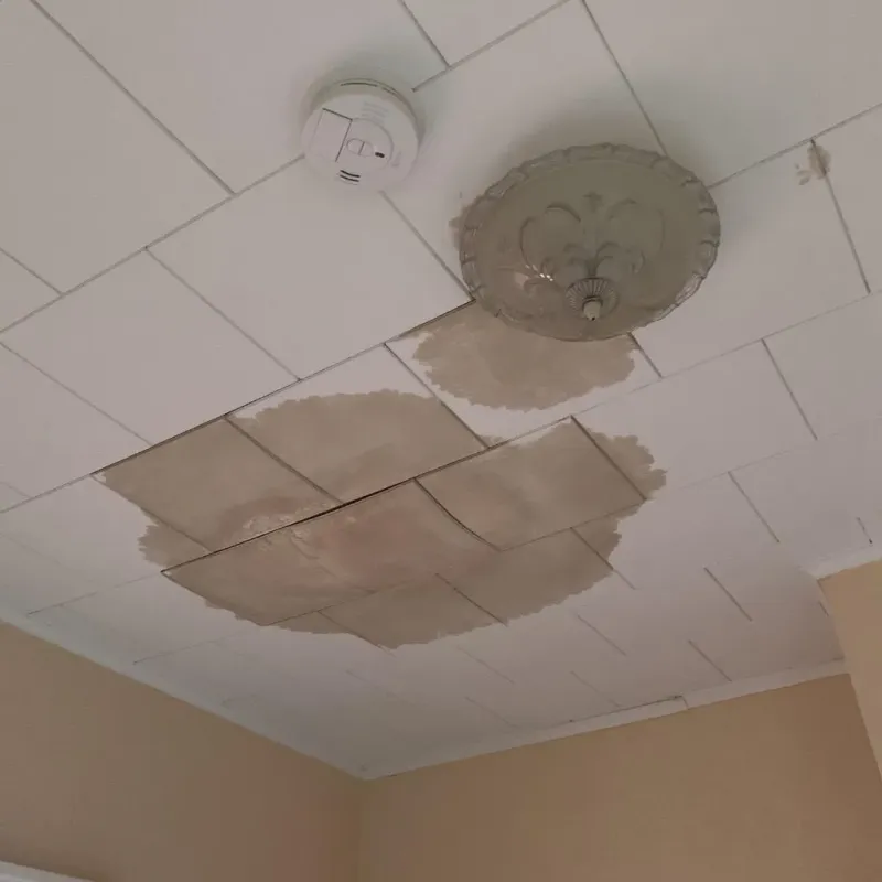 Ceiling Water Damage Repair in Oak Brook, IL