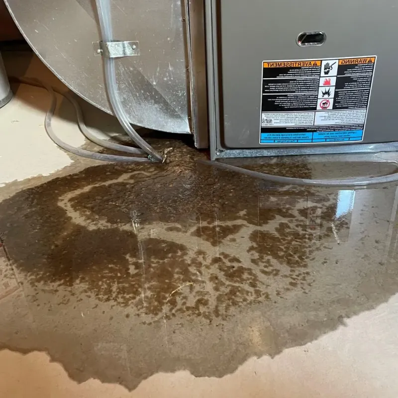 Pipe Burst and Leak Restoration in Oak Brook, IL